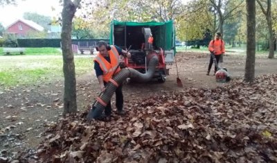 Ramassage et évacuation de feuilles à Mâcon 