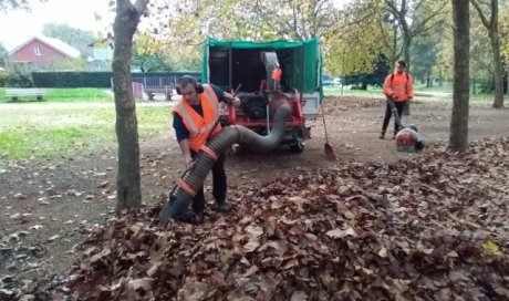Ramassage et évacuation de feuilles à Mâcon 