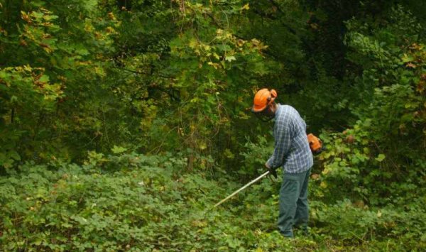 Entretien d'espaces verts - Mâcon - Régie Mâconnaise de Services