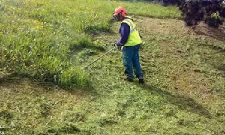 Entretien d'espaces verts - Mâcon - Régie Mâconnaise de Services