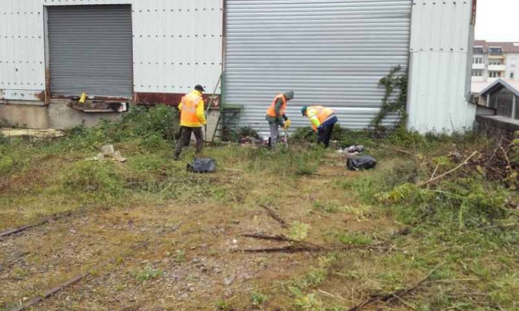 Entretien d'espaces verts - Mâcon - Régie Mâconnaise de Services