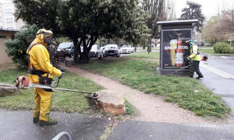 Entretien d'espaces verts - Mâcon - Régie Mâconnaise de Services
