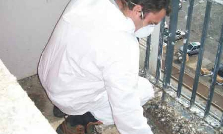 Remise en état de logement - Mâcon - Régie Mâconnaise de Services